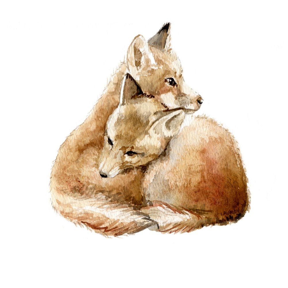 Cuddling Foxes by LAUREN ROGOFF
