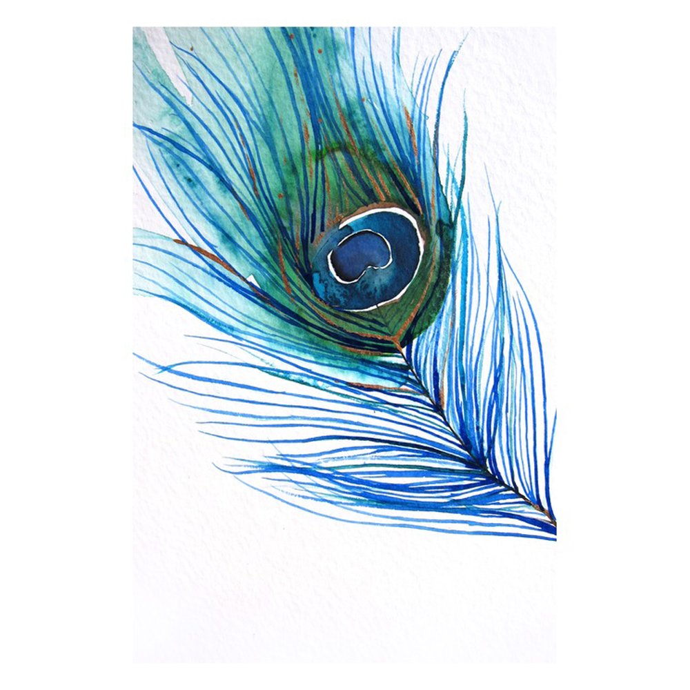 Peacock Feather by CHRISTINE LINDSTROM