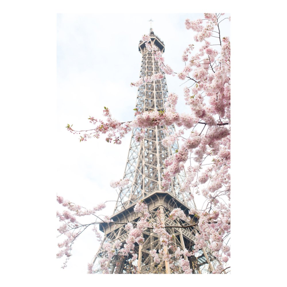 April in Paris by REBECCA PLOTNICK