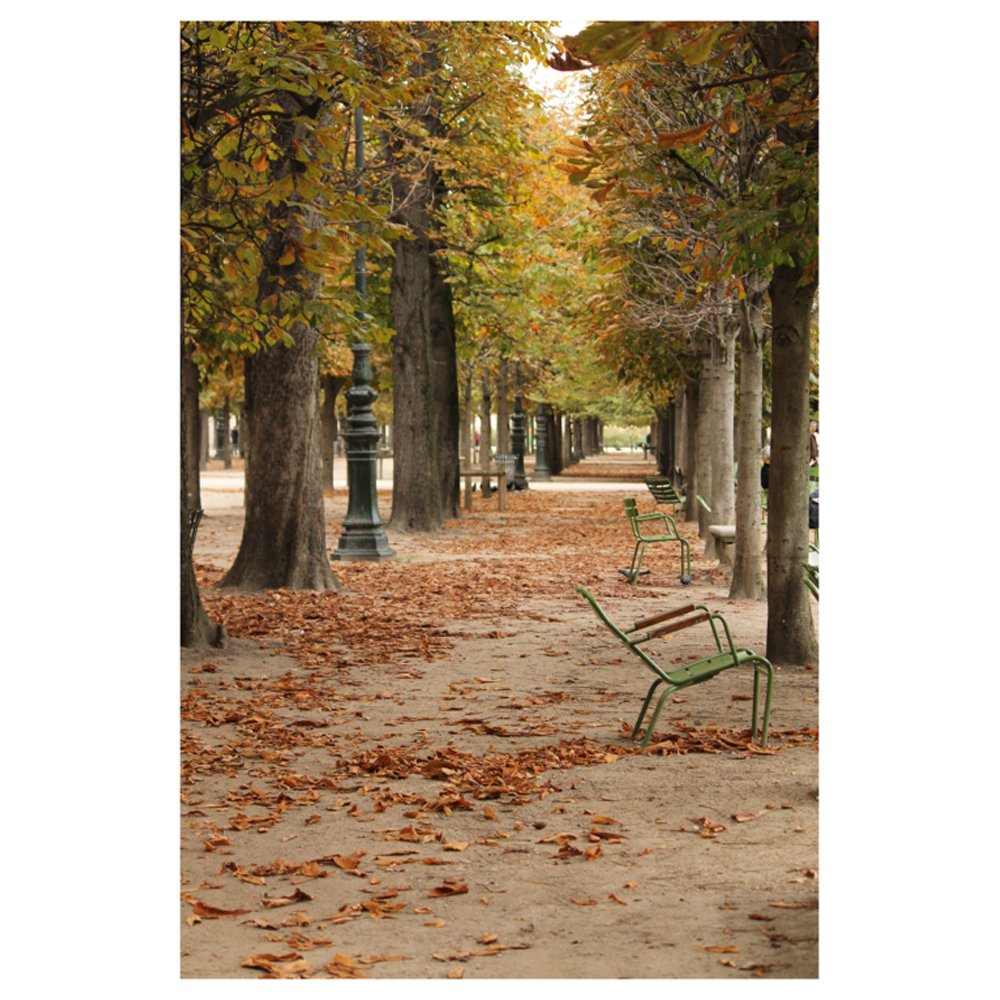 Fall Stroll in The Tuileries by REBECCA PLOTNICK