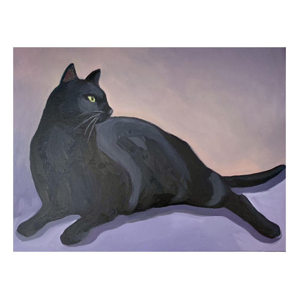 Reclining Cat with Lavender Background by VICKY TESMER
