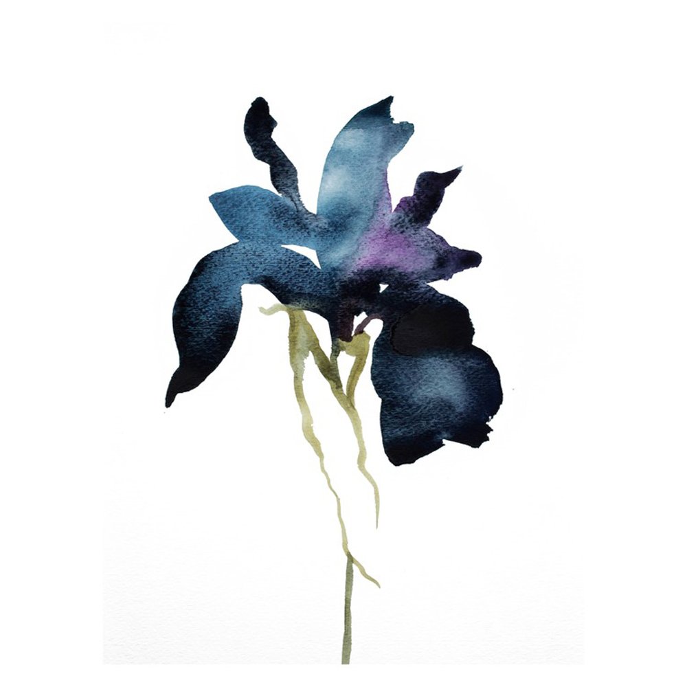 Iris No. 1 by ELIZABETH BECKER