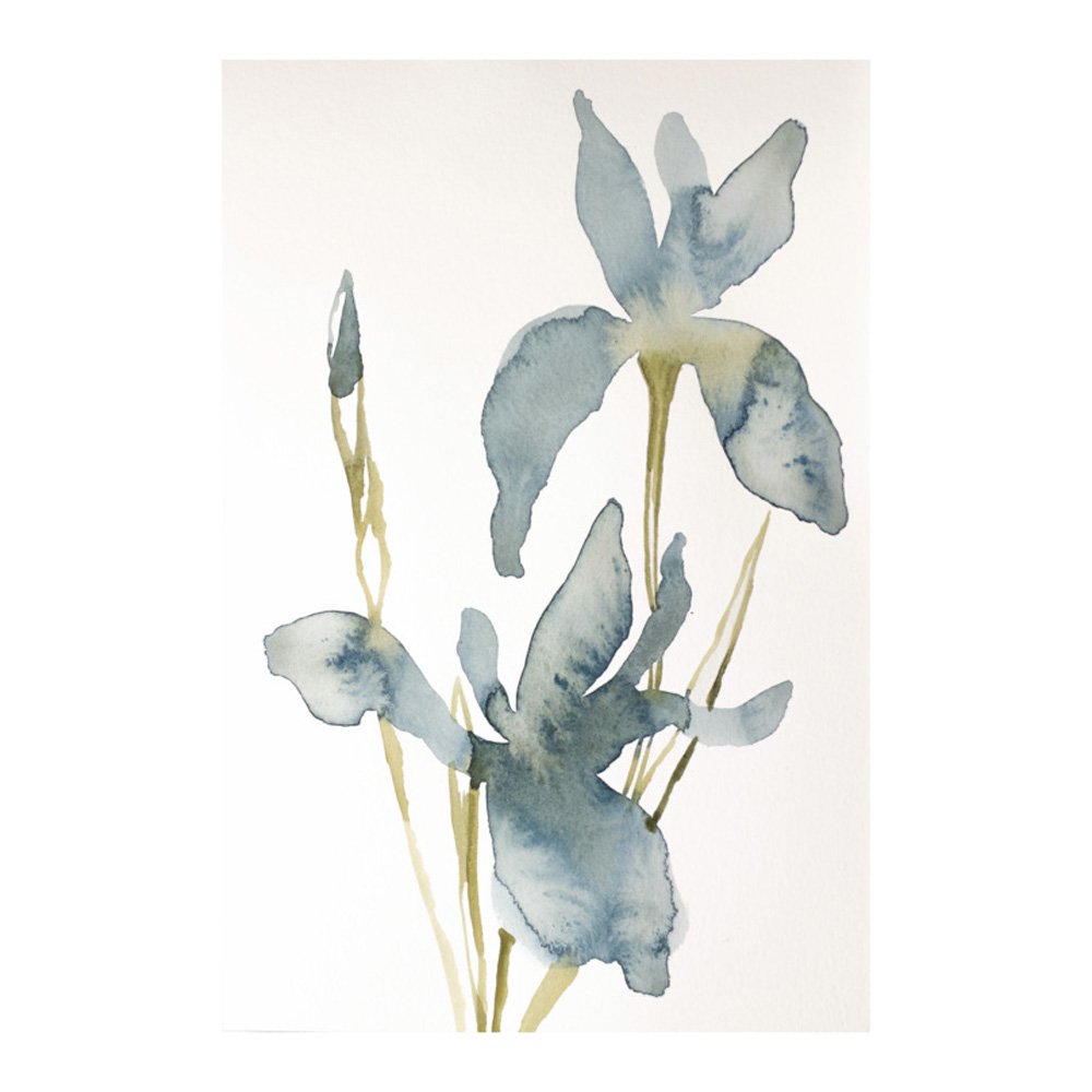 Two Irises No. 6 by ELIZABETH BECKER