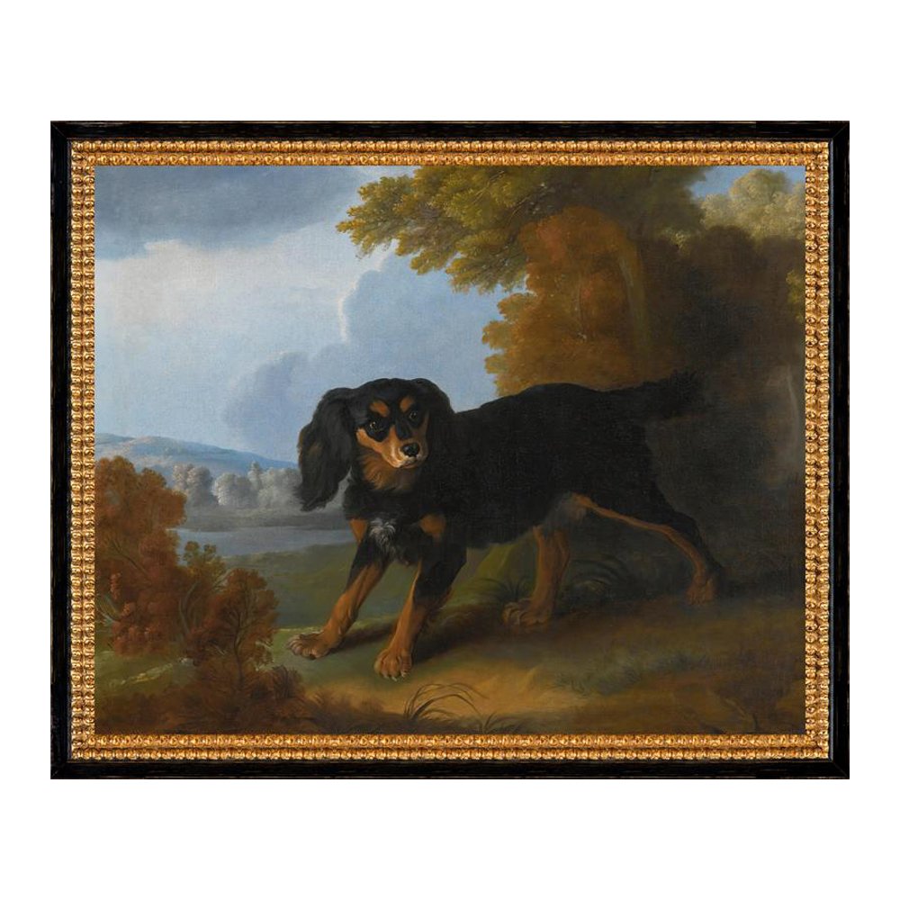 King Charles Spaniel Dog Portrait Antique Print from $39