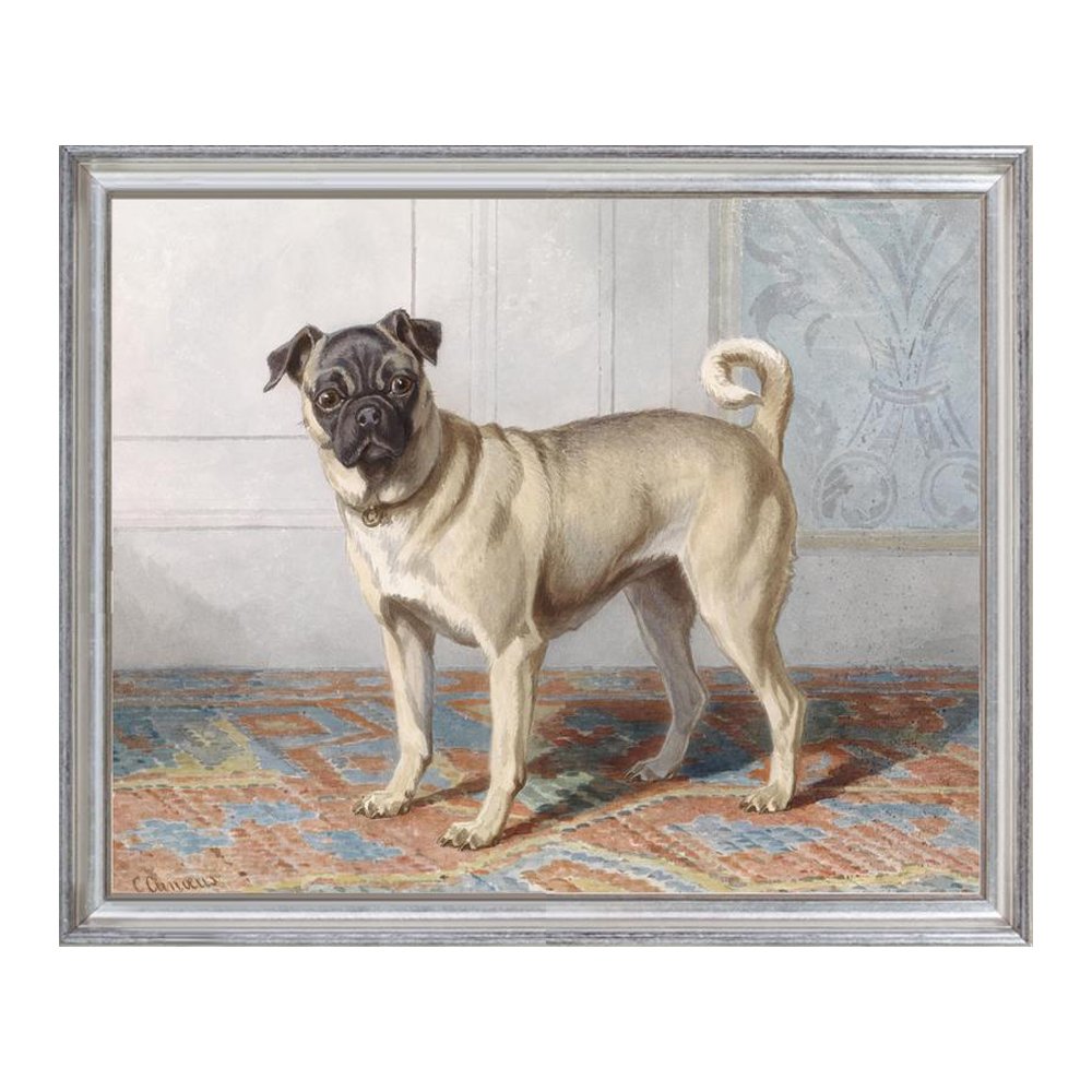 Pug Dog Portrait Antique Print, from $39