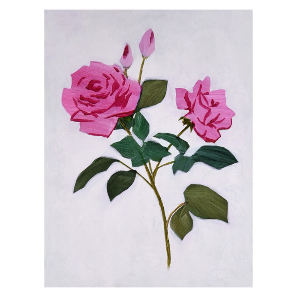 Shabby Pink Rose II by JULIE HEADLAND