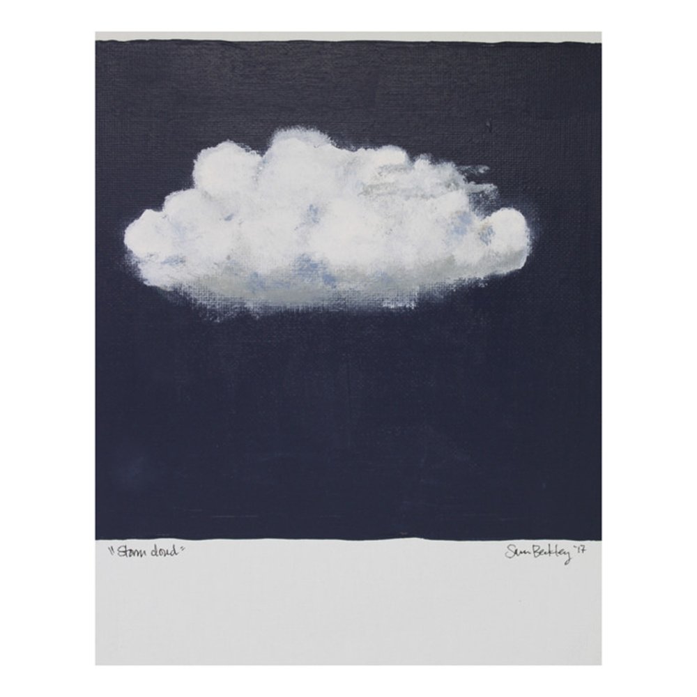 Storm Cloud by SARA BECKLEY AND LAURA ELSE