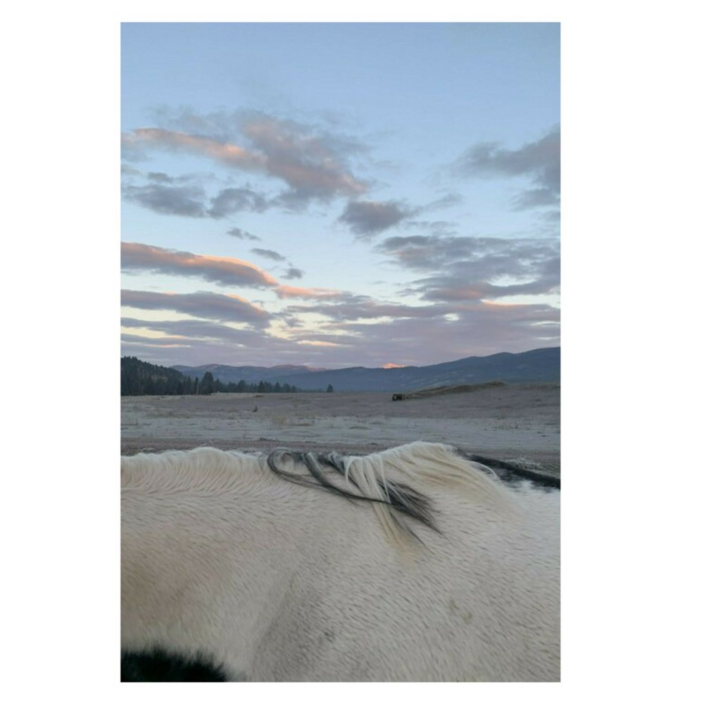 magical montana morning by Bryn Sanders