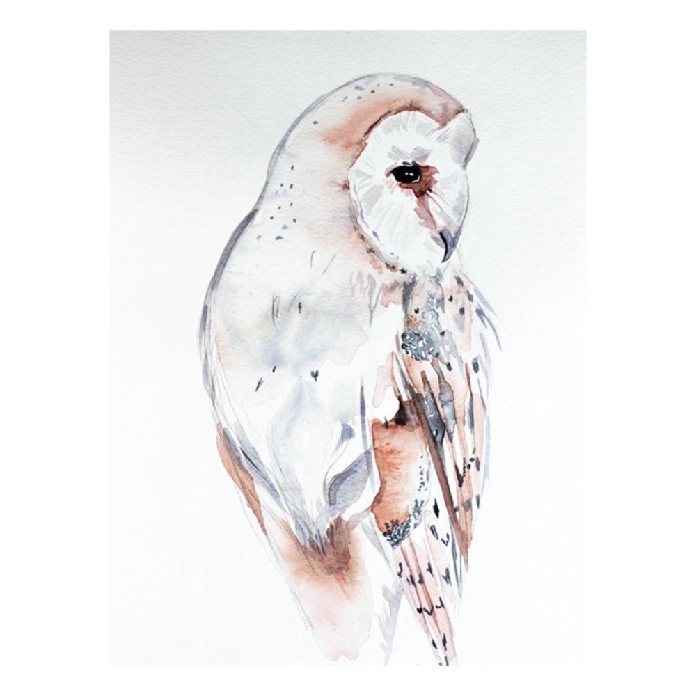 Barn Owl by ELIZABETH BECKER