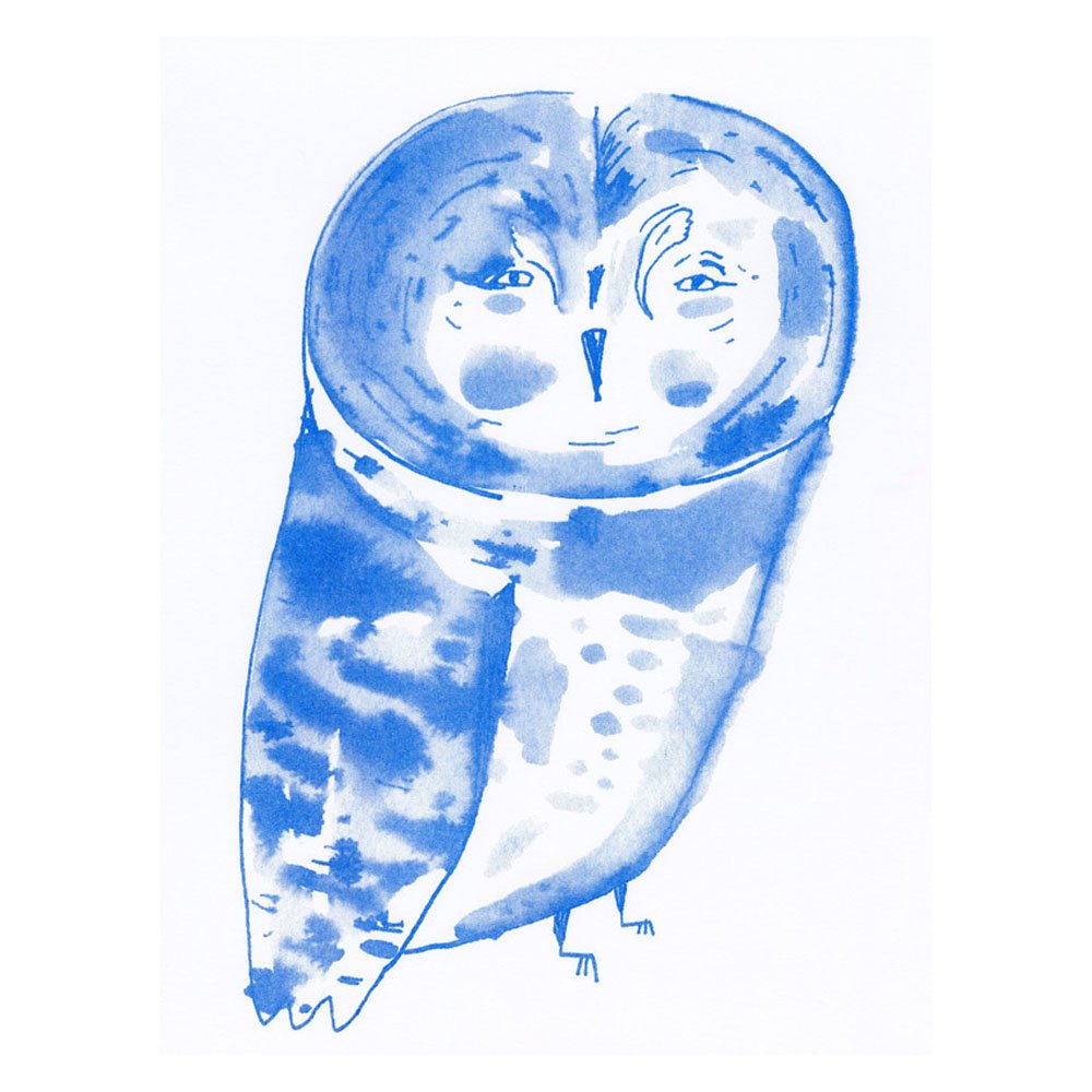 Blue Owl by ELIZABETH GRAEBER