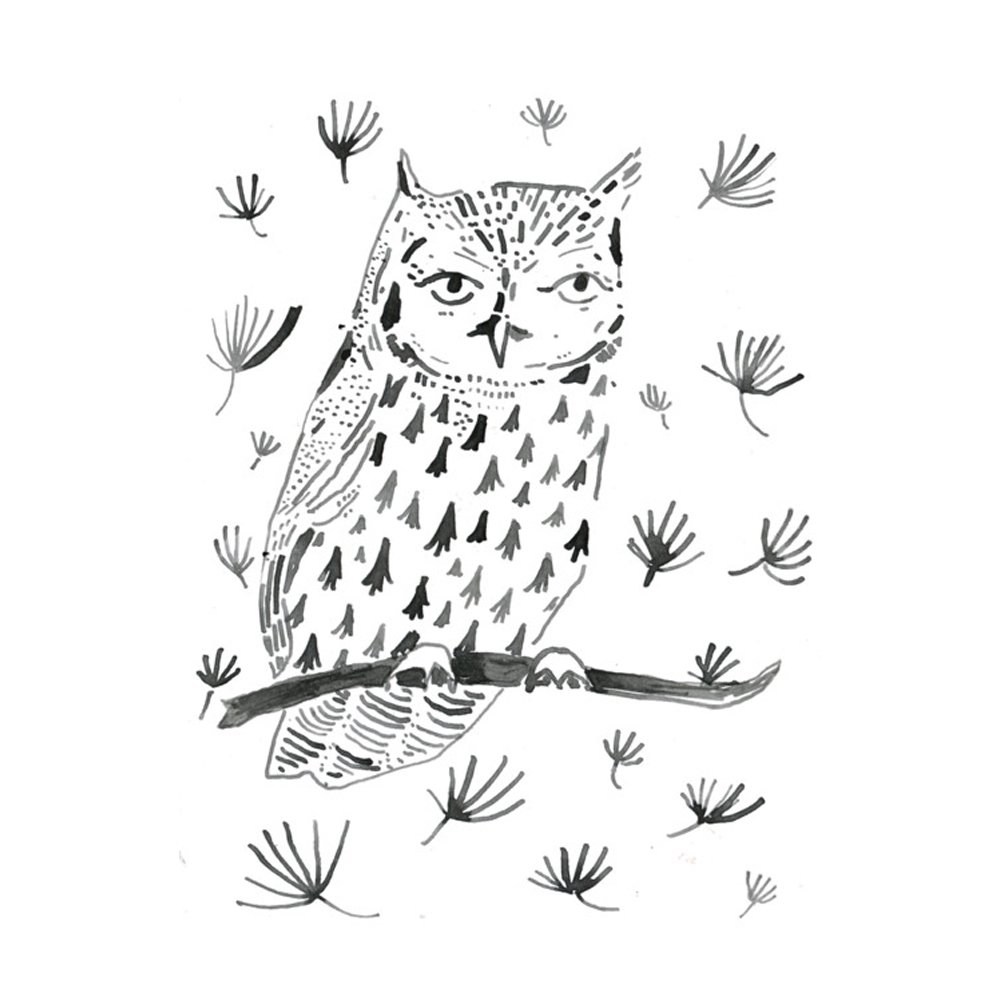 Owl by ELIZABETH GRAEBER