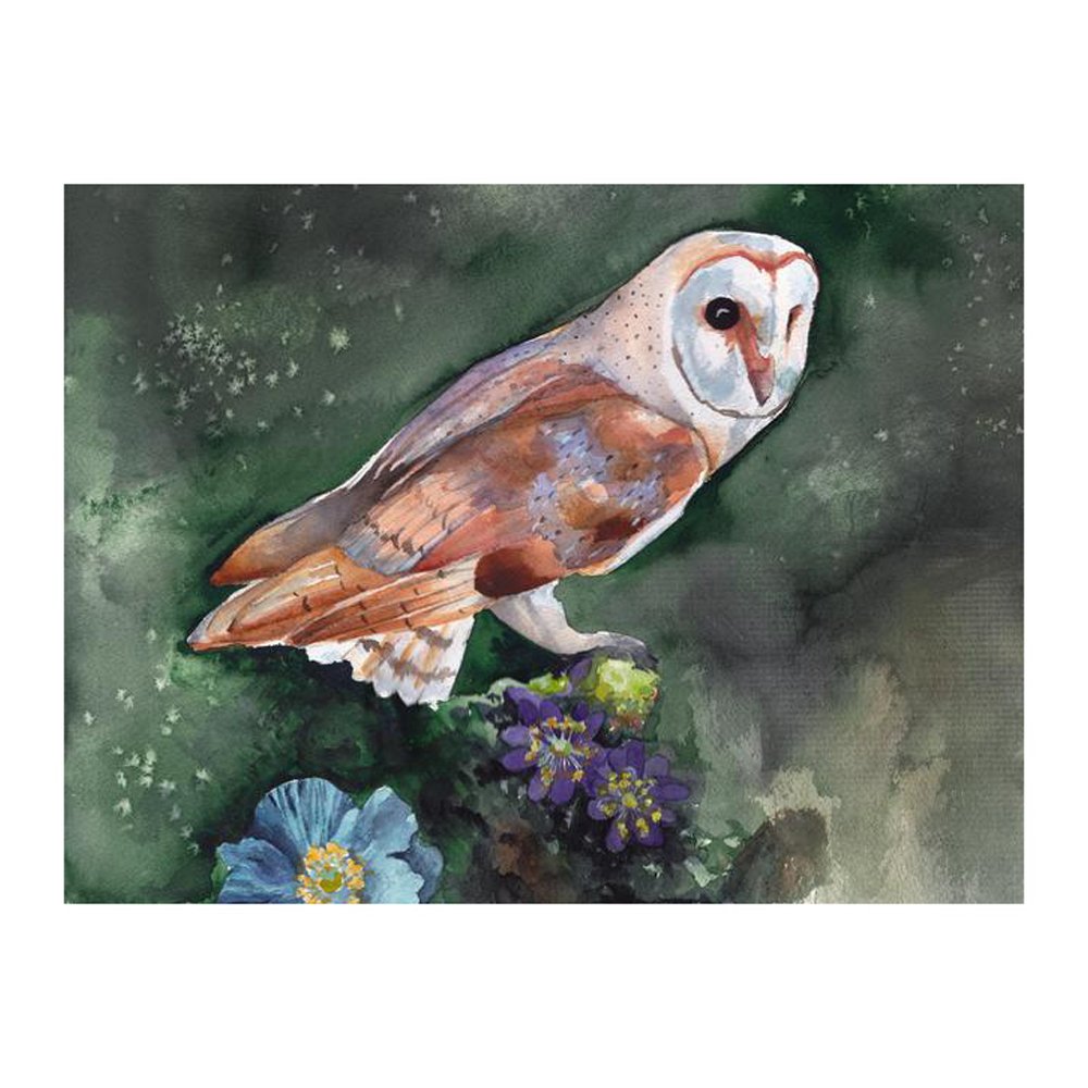 Barn Owl by CHRISTINE LINDSTROM