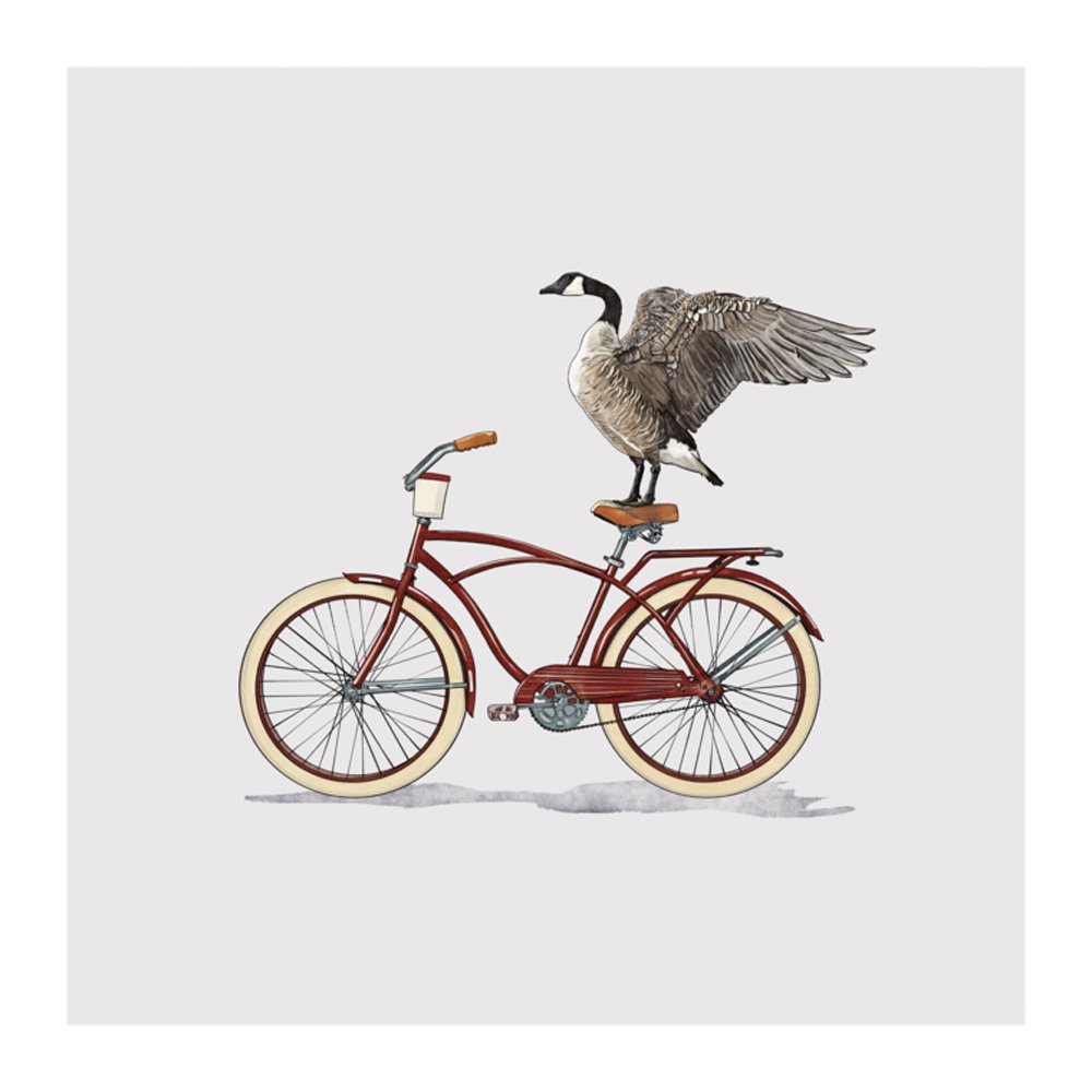 Canadian Goose On Bicycle by CAROLYNN ELSHOF