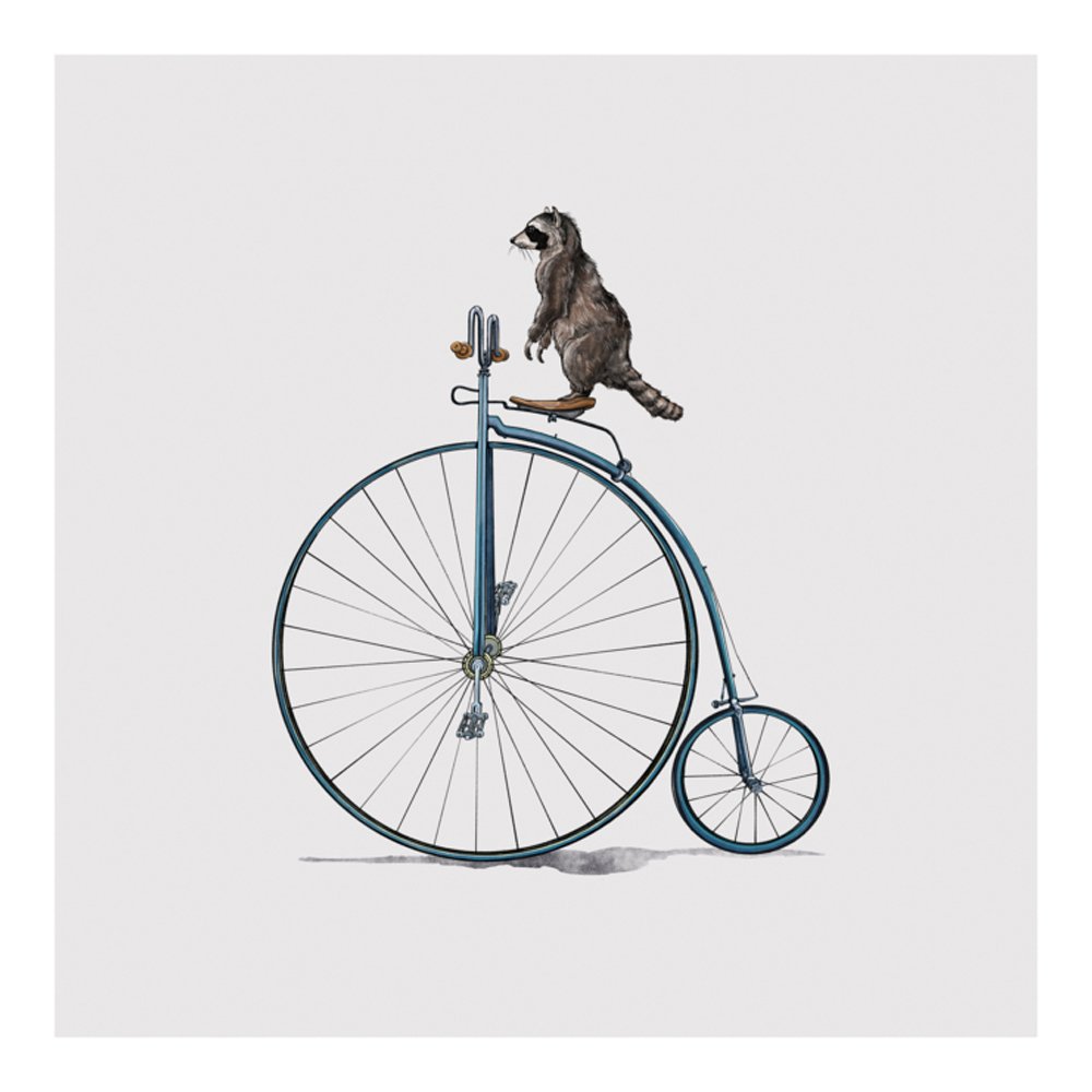 Raccoon On Penny Farthing by CAROLYNN ELSHOF