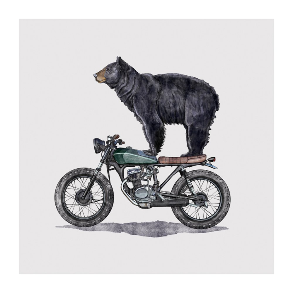 Black Bear On Motorcycle by CAROLYNN ELSHOF
