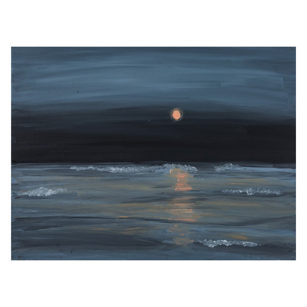 Lake Moonrise by ALLI MCPHAIL