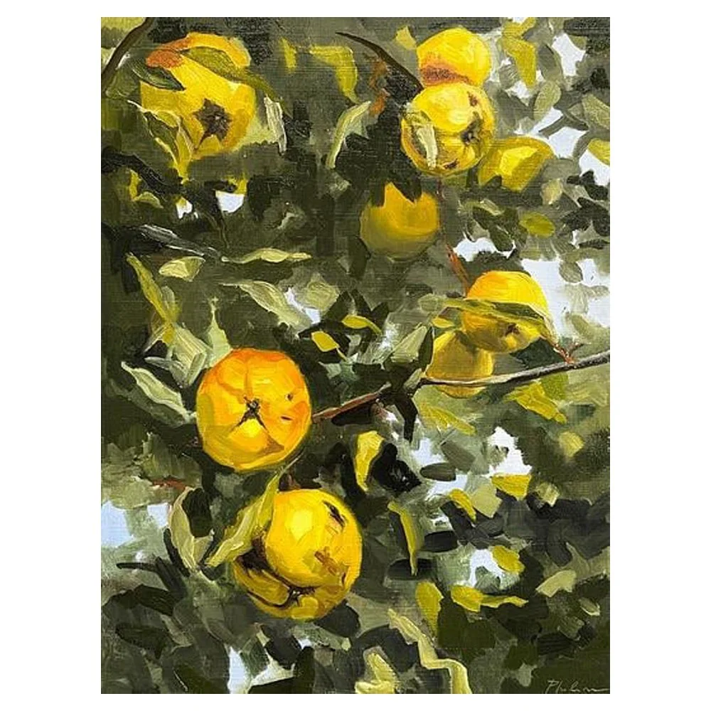 Quince tree By Philine van der Vegte