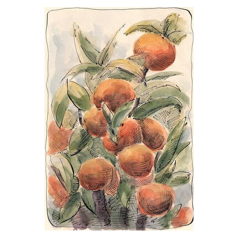 Orange tree By Lyubov Fonareva