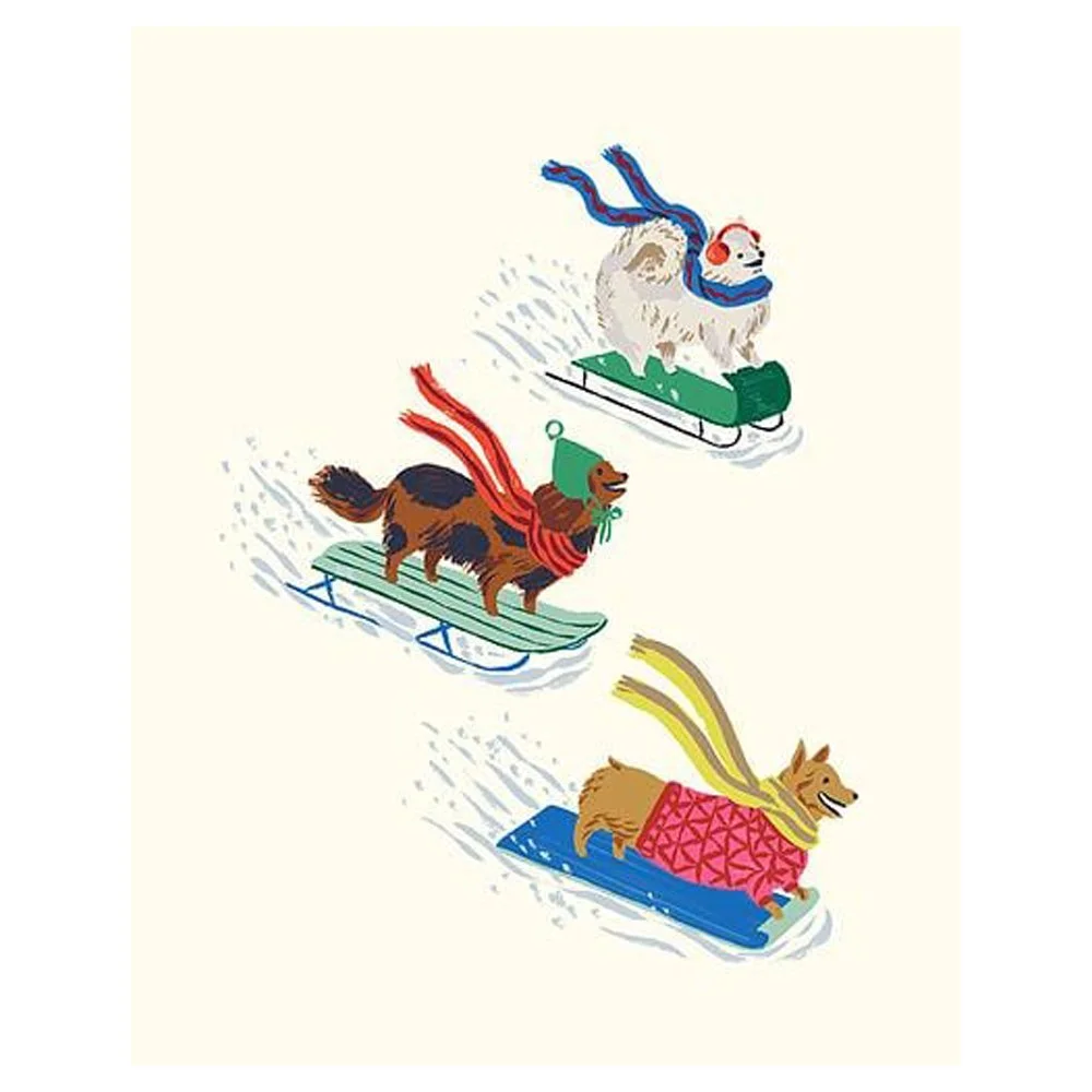 Sledding Dogs By Emily Taylor