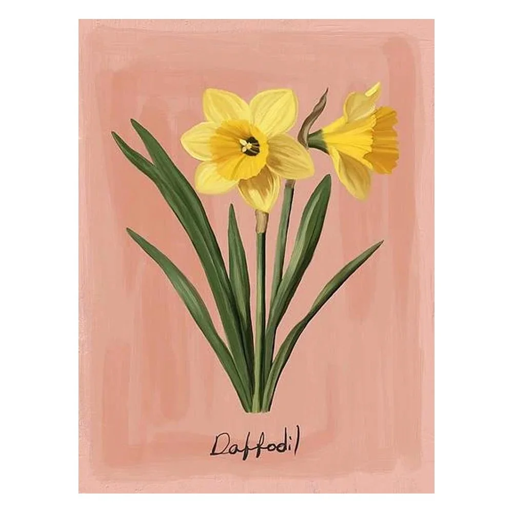 daffodil By Ruti Shaashua