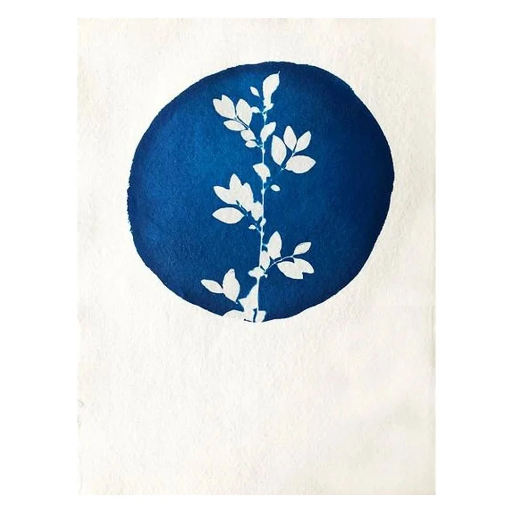 Moon By Rose Brancovich