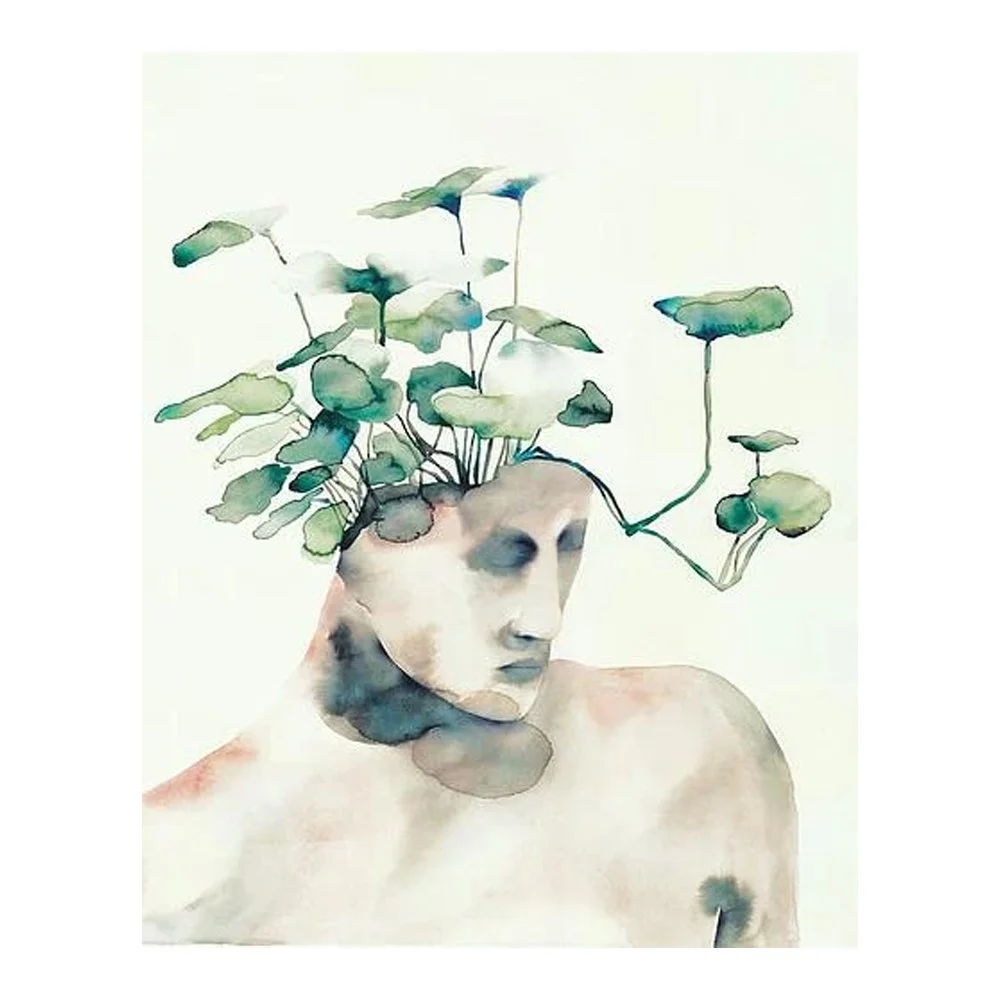 Metamorphosis By Flavia Cuddemi