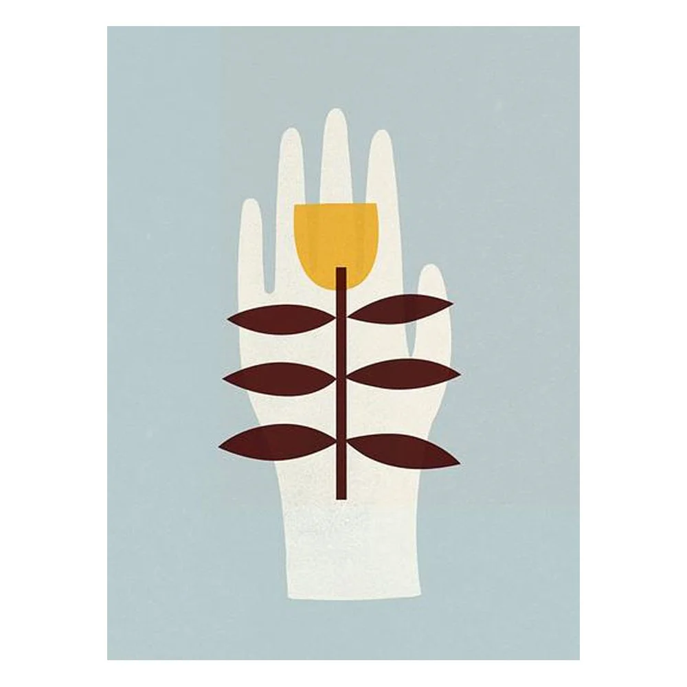 Flower in Palm By Clare Owen