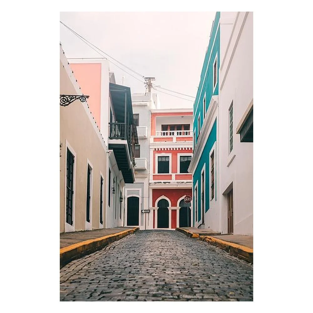 Los Colores By Janet Cruz