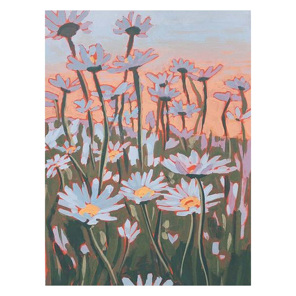 Daisy Sunset By Jenni Tuulia Siltala