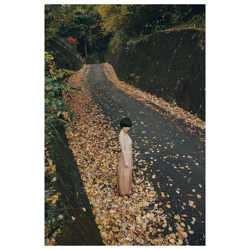 Autumn in the Japanese countryside By Tess Adams