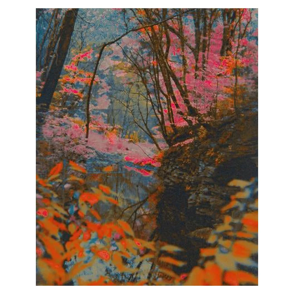 Wonderworld By Amber Lauder