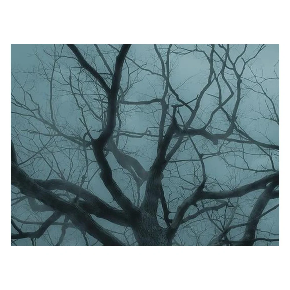 Bare Tree In Fog And Cold Light By Lomiya Michael Beslanovich