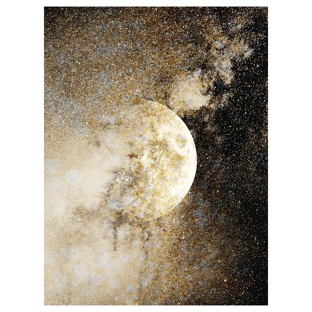 Honey Moon I By Hope Bainbridge