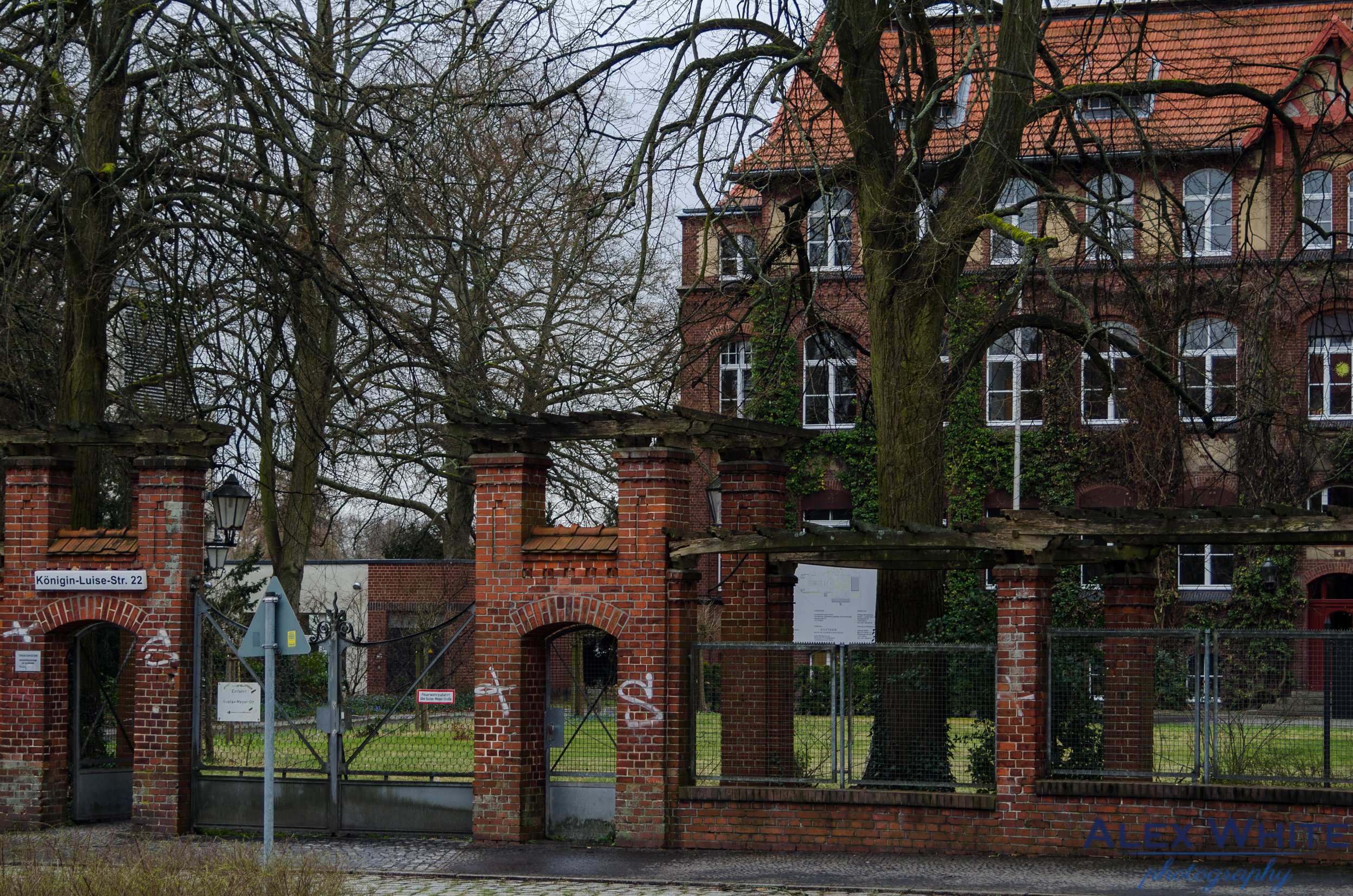 DSC_7929.jpg