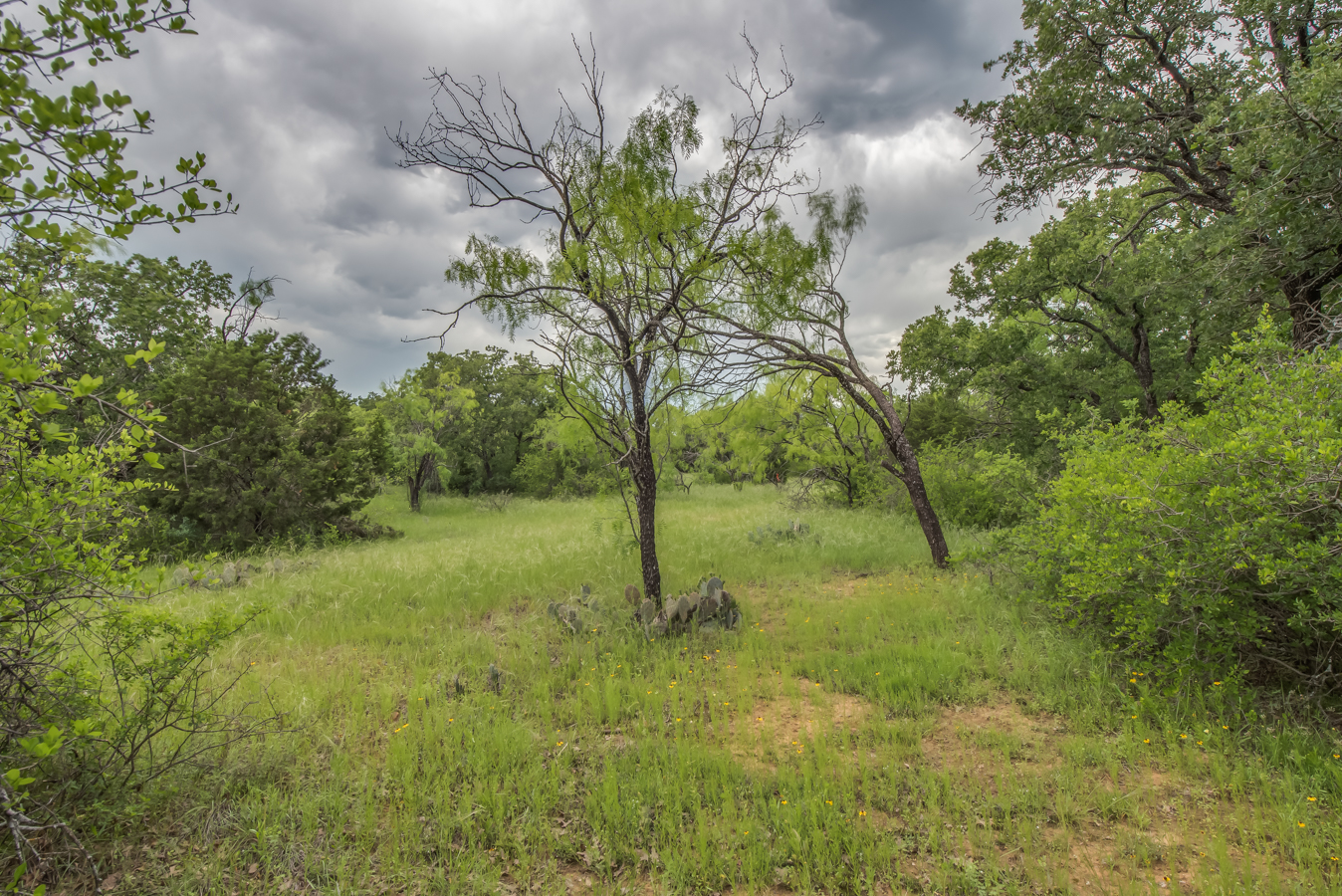DSC_5184HDR-35.jpg
