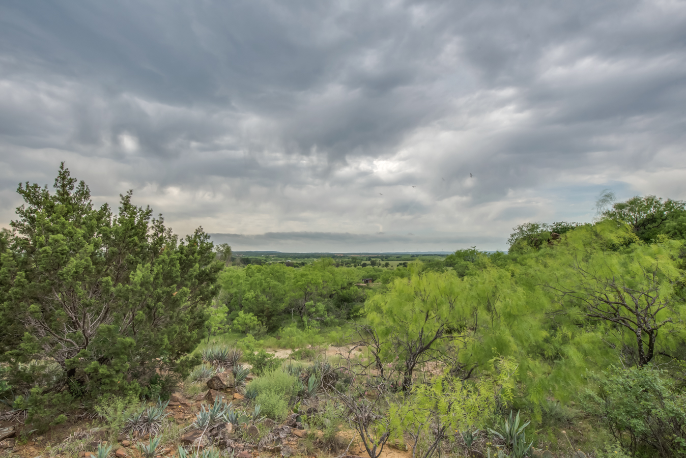 DSC_5174HDR-33.jpg