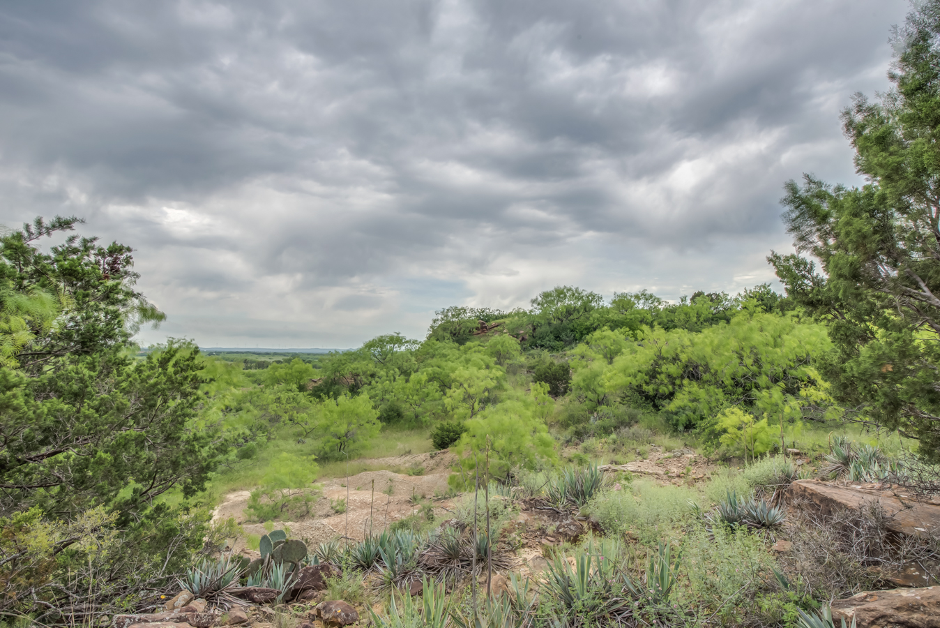 DSC_5169HDR-32.jpg