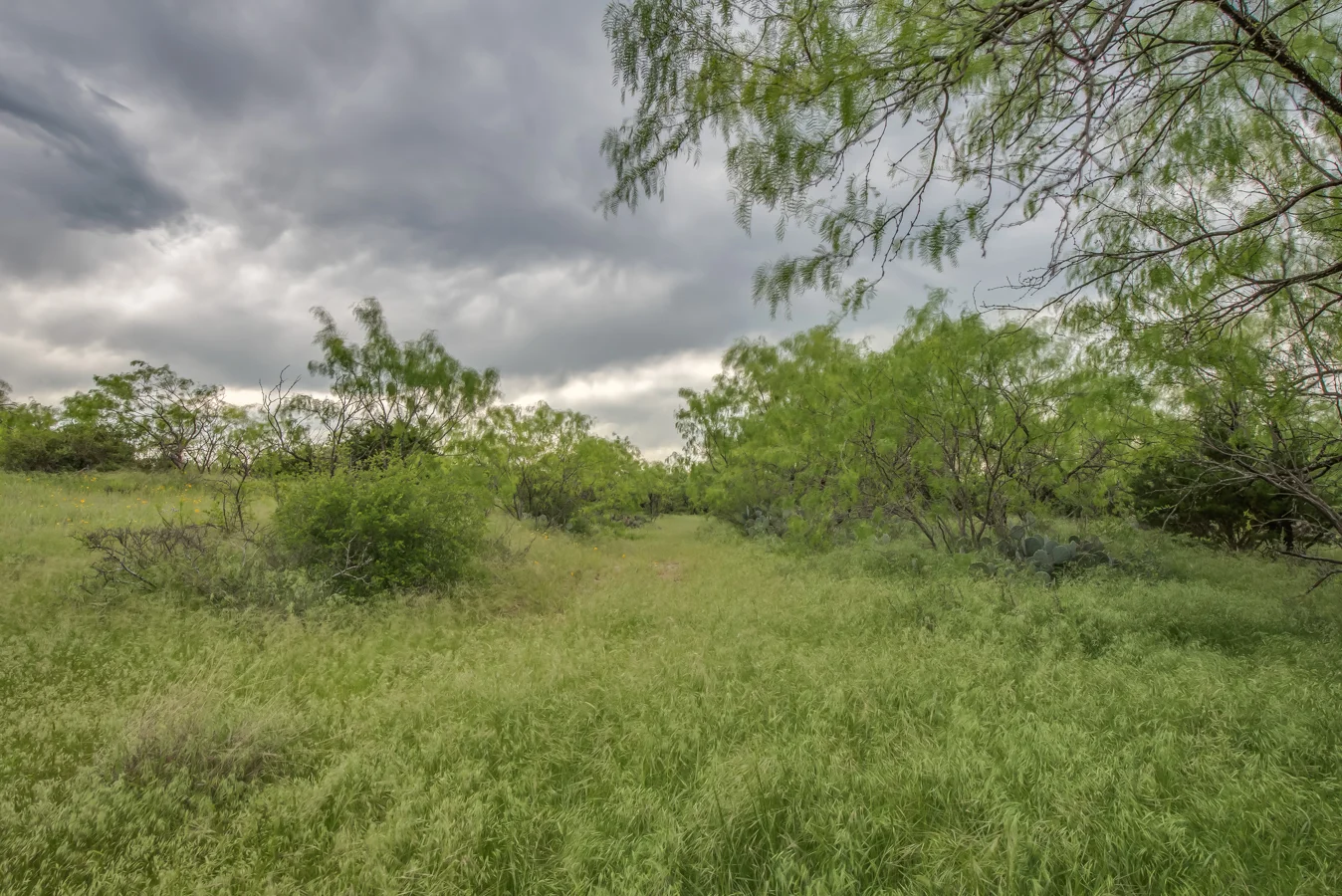 DSC_5154HDR-29.jpg