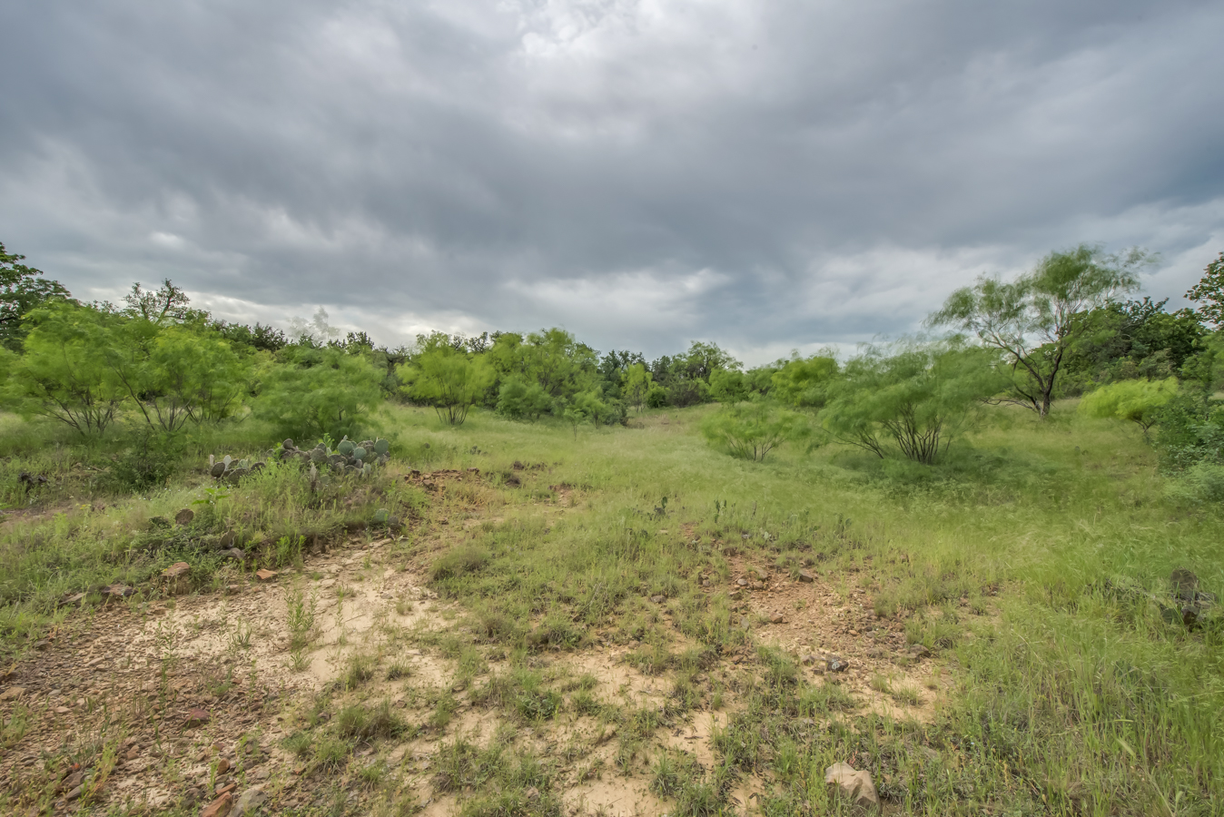 DSC_5129HDR-25.jpg