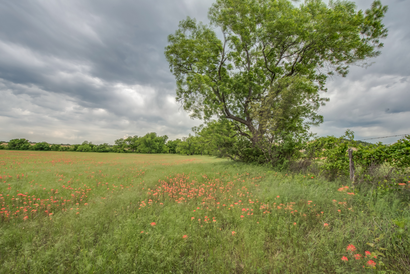 DSC_5119HDR-23.jpg