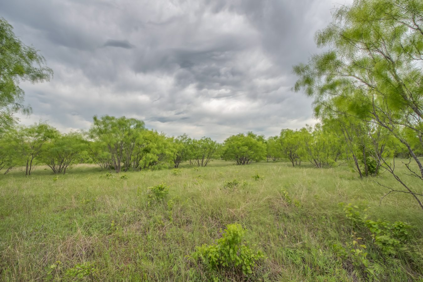 DSC_5106HDR-20.jpg