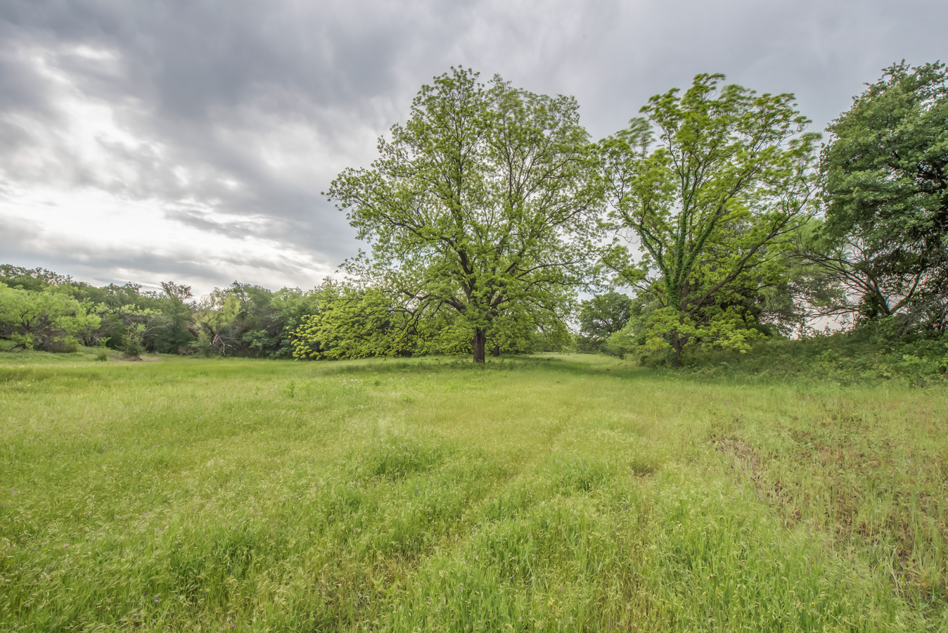 DSC_5100HDR-18.jpg