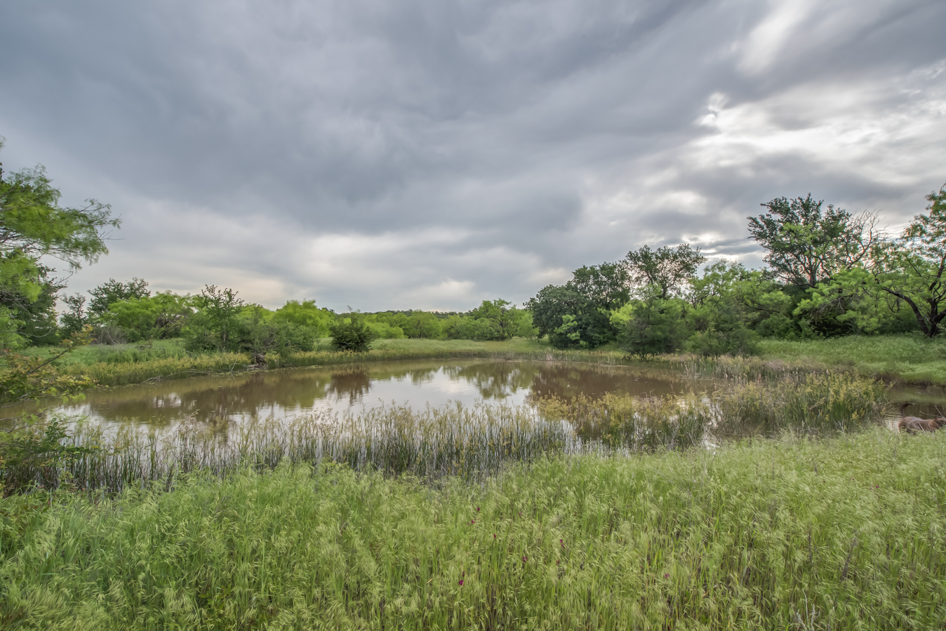DSC_5064HDR-9.jpg