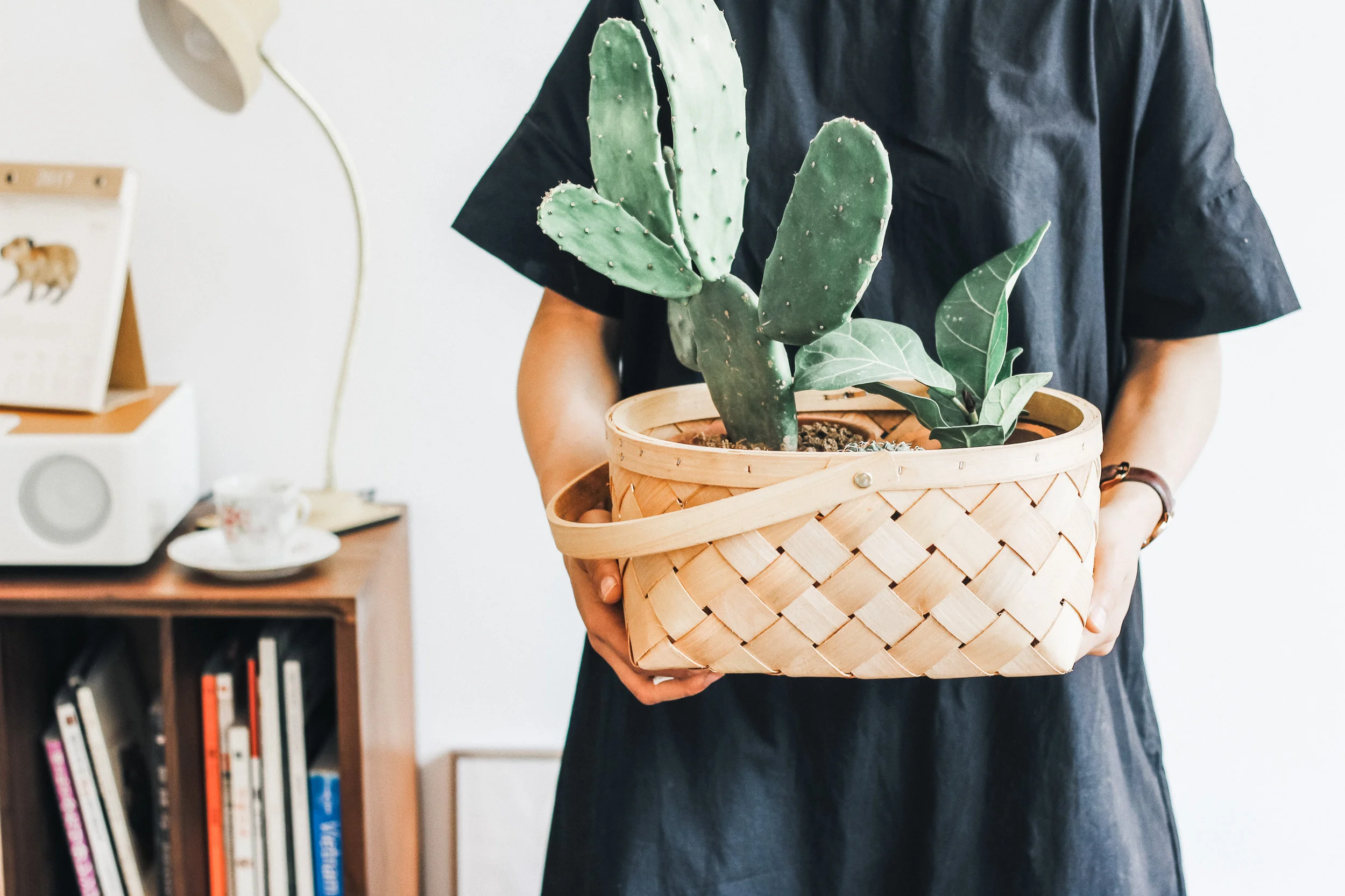 elegant-simplicity-seattle-professional-organizer-clutter-thereapy-why-we-procrastinate-how-to-overcome-procrastination.jpg