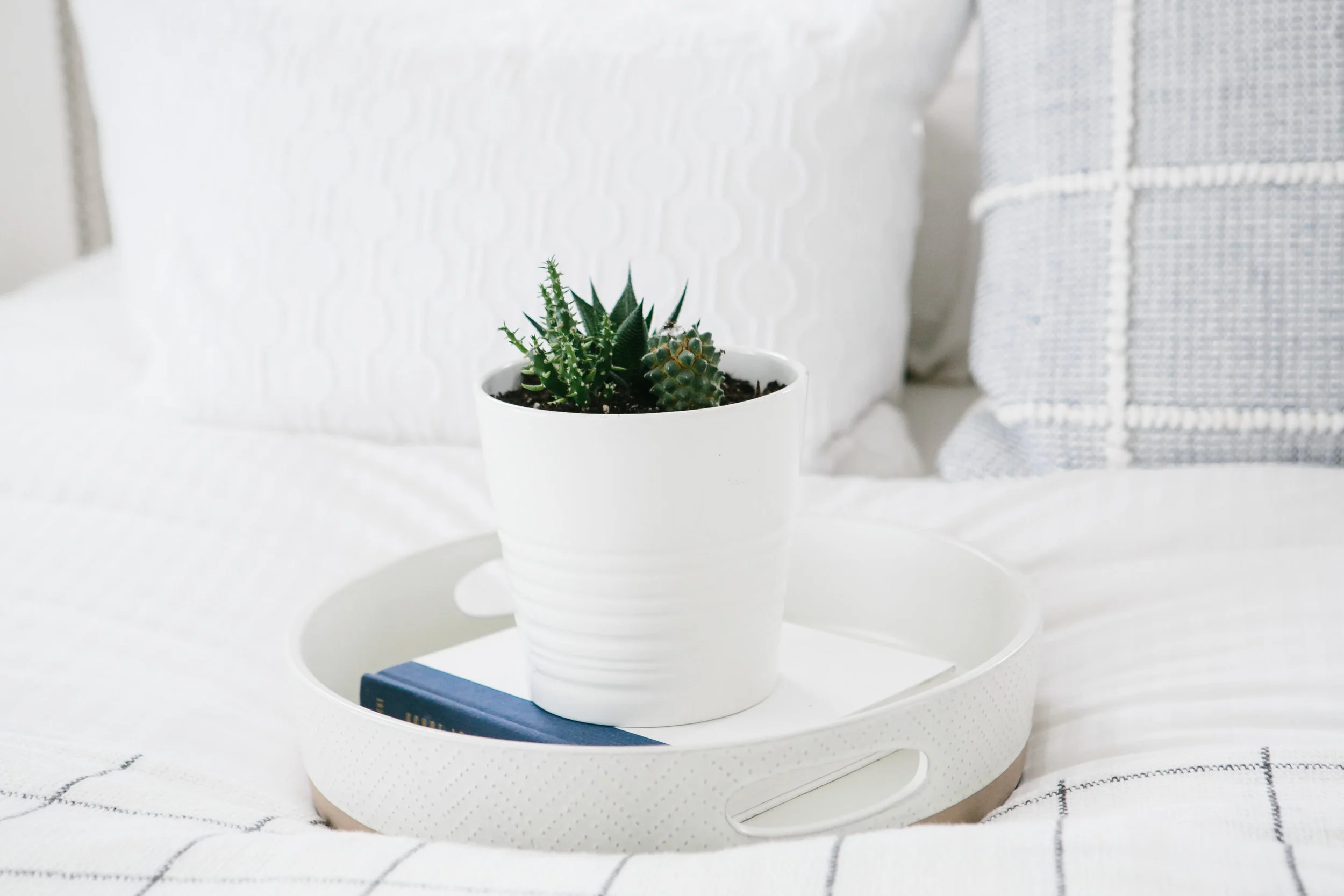 A round tray with plants and a book on a white guest bed.