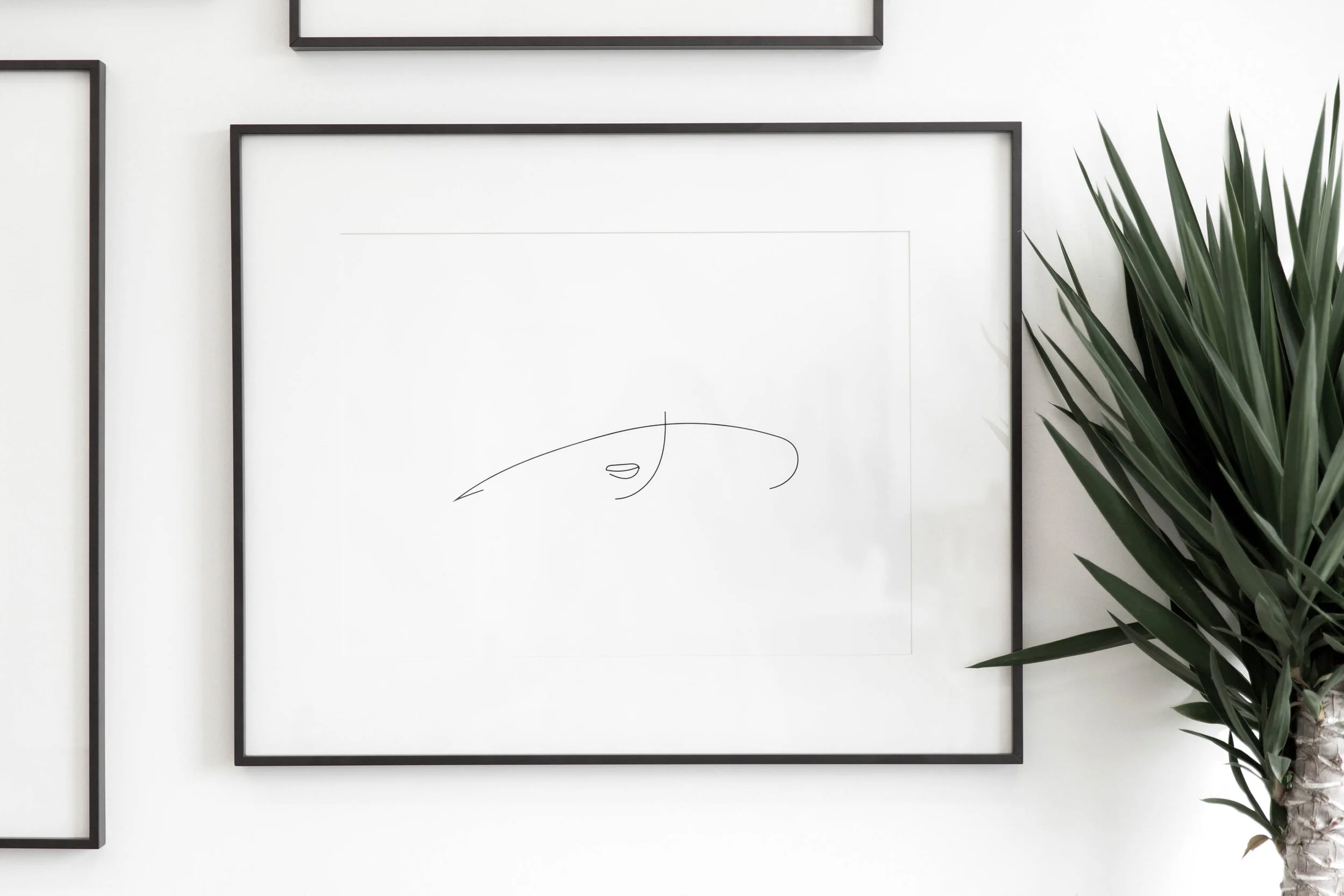 Top 5 Ways To Design A Blank Wall In Your Home