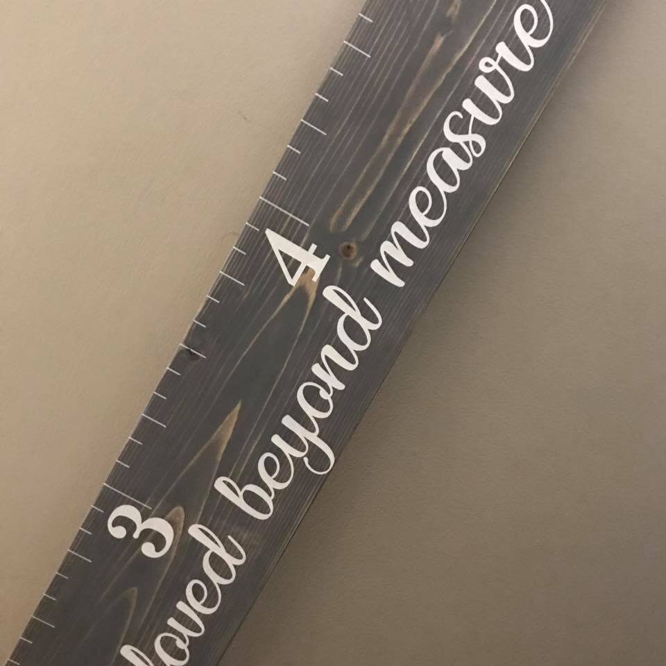 66358434_1137395303116724_5083737859521773568_n_1137395299783391.jpg