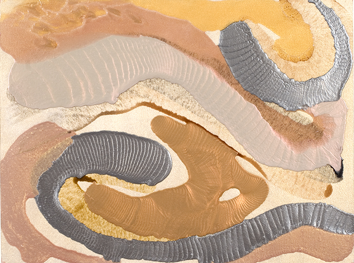 SYMBIOSIS, 2007, Acrylic on canvas, 30" x 43"
