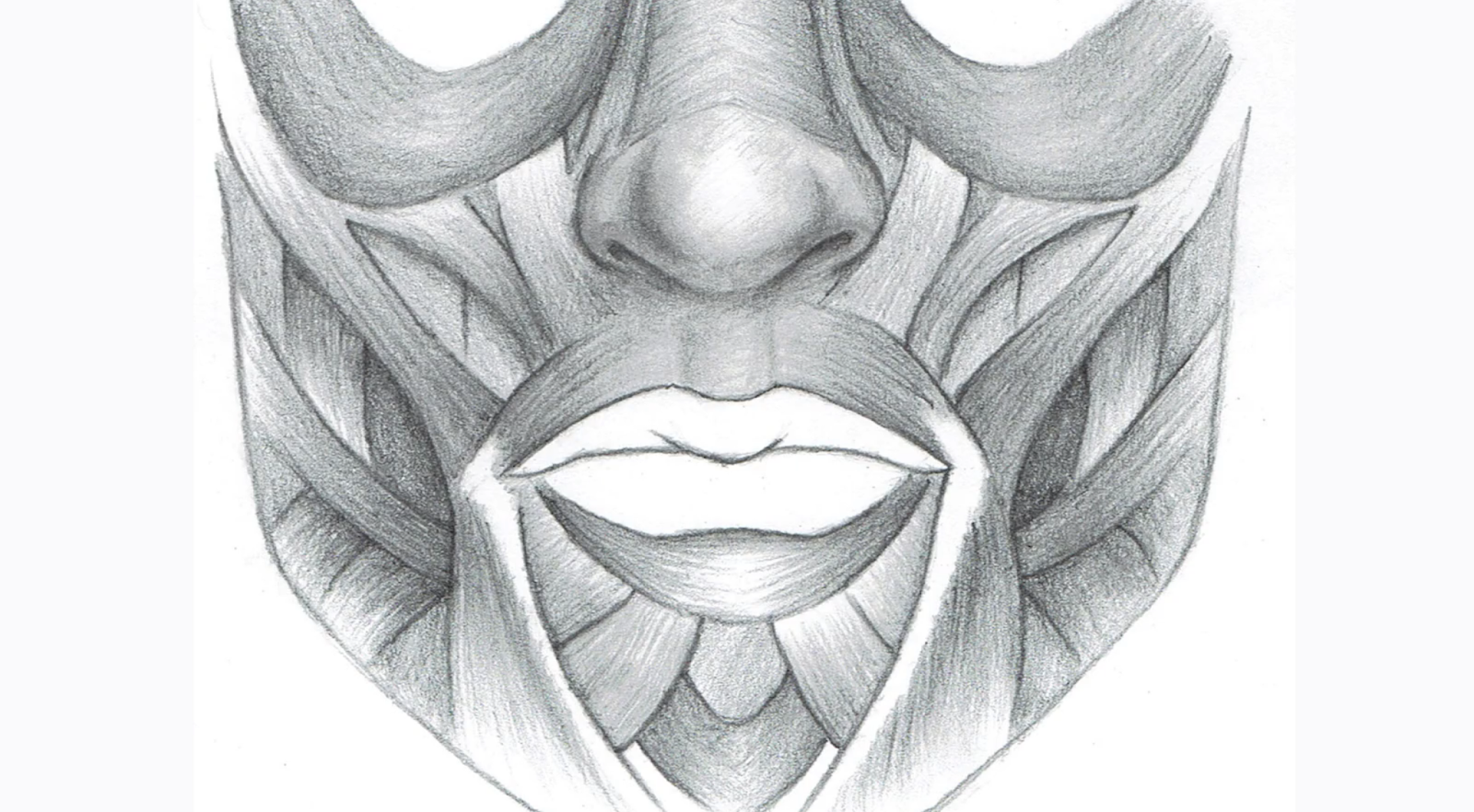 Many of the muscles in the face converge on the mouth area. 