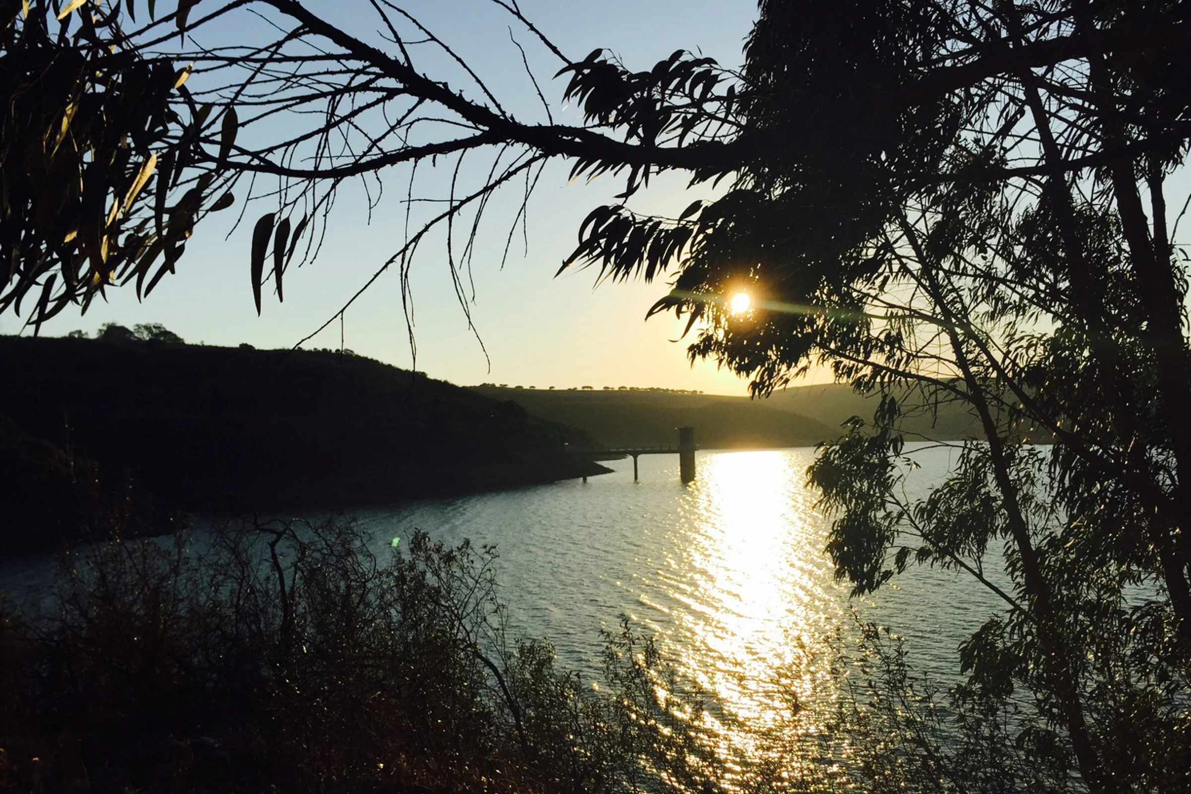 End of Summer Salutations